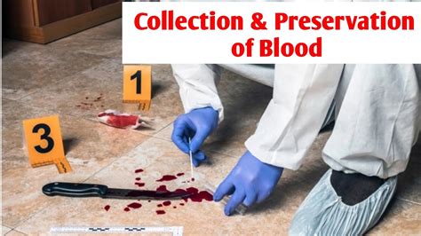 blood for testing seal broken contamination by philomist|blood evidence preservation.